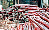 63 woodcutters from Tamil Nadu arrested in Nellore, red sandalwood worth Rs.2 crore seized